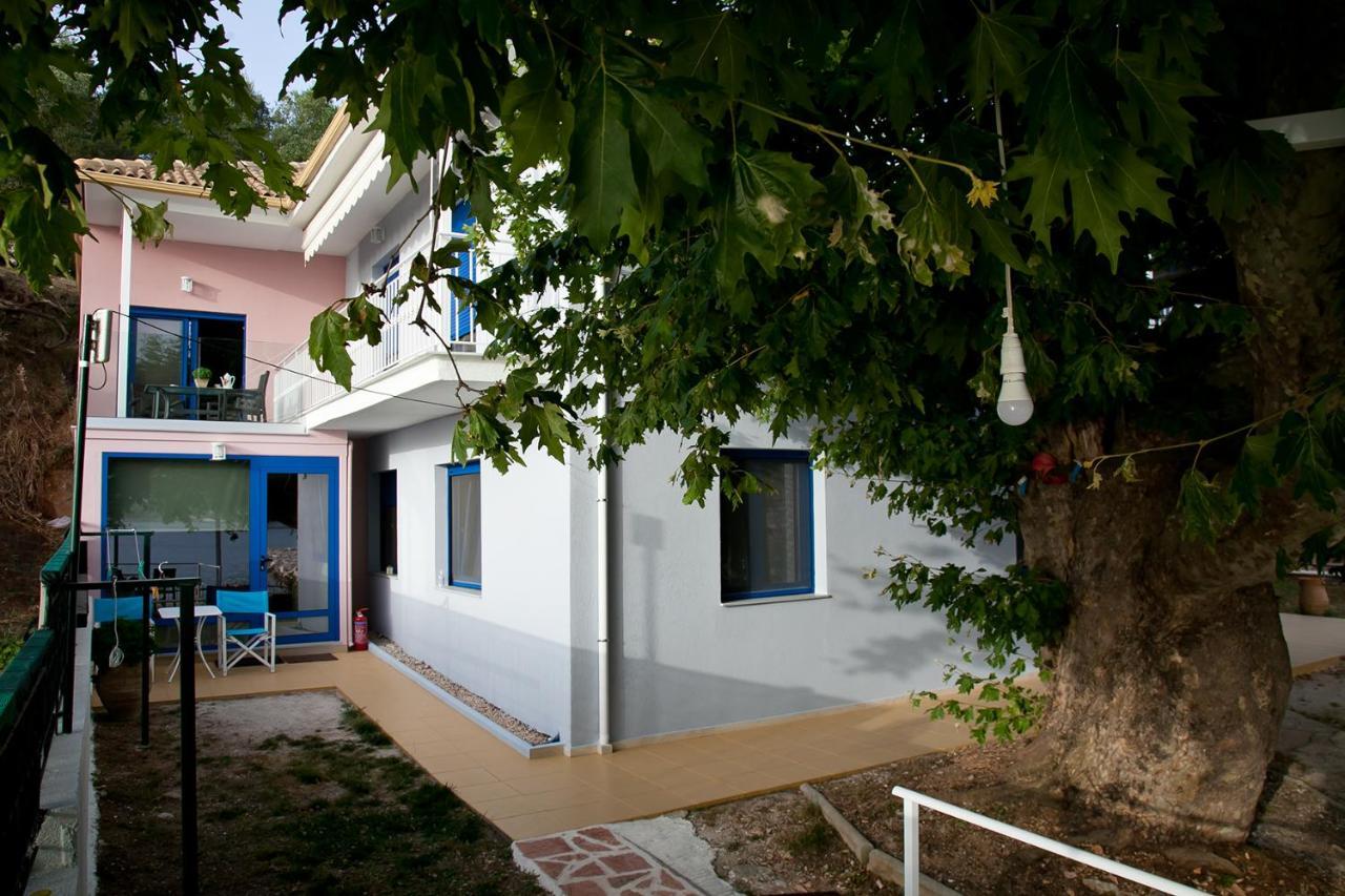 פלטאריה Villa Niki מראה חיצוני תמונה